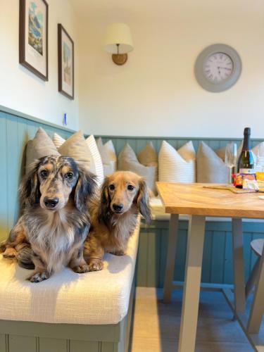 Oak Tree Hideaway in Whitchurch Oak Tree Hideaway in Whitchurch