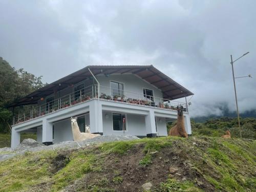 Dogsland Bellevue - Bienvenidos - Ferienwohnungen in ซานอันโตนิโอเดอพิชินชา Dogsland Bellevue - Bienvenidos - Ferienwohnungen in ซานอันโตนิโอเดอพิชินชา