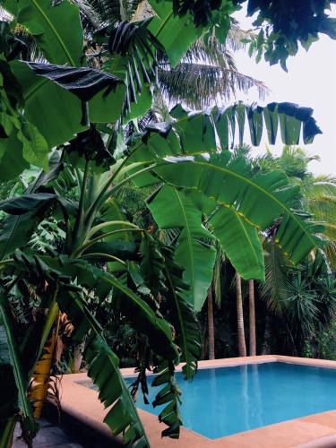 Hostal y Camping Villa Mercedes in Chichen Itza Hostal y Camping Villa Mercedes in Chichen Itza