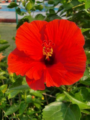 This photo about Restaurant Pension Seewolf shared on HyHotel.com