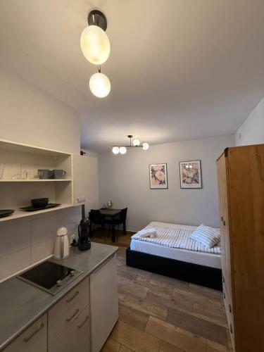 NALU Apartments no 10&17 in Zaleze NALU Apartments no 10&17 in Zaleze