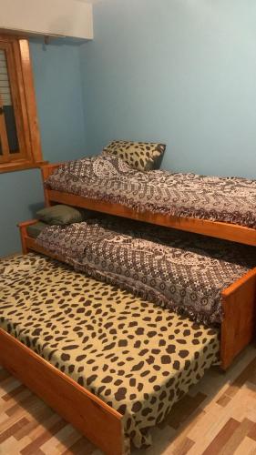 Cintialadueña (Cintialaduena) in 바리오 플로렌티노 아메기노 Cintialadueña (Cintialaduena) in 바리오 플로렌티노 아메기노