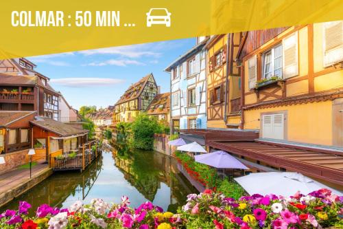 Le Cosy du Brasseur - Magnifique Duplex Schiltigheim, Proche Strasbourg in Schiltigheim Le Cosy du Brasseur - Magnifique Duplex Schiltigheim, Proche Strasbourg in Schiltigheim