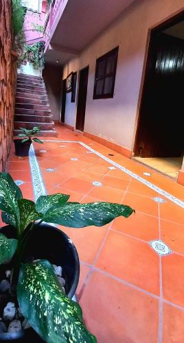 Fasilitas, Hotel Rosalila in Copan Ruinas Fasilitas, Hotel Rosalila in Copan Ruinas