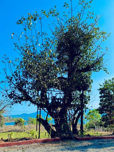 Surrounding environment, Royal Orbit Resort in Thakursai Surrounding environment, Royal Orbit Resort in Thakursai