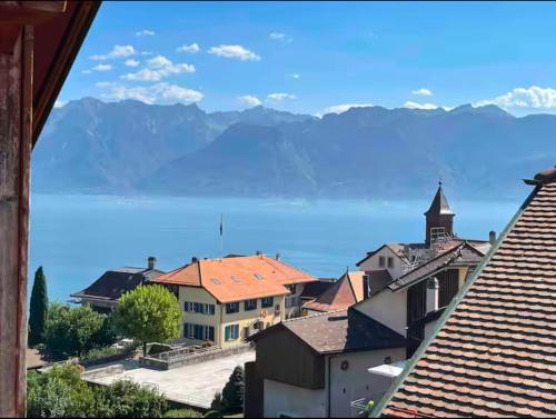 陽台/露台, Lavaux nice place in Swiss French part in 謝布爾 陽台/露台, Lavaux nice place in Swiss French part in 謝布爾
