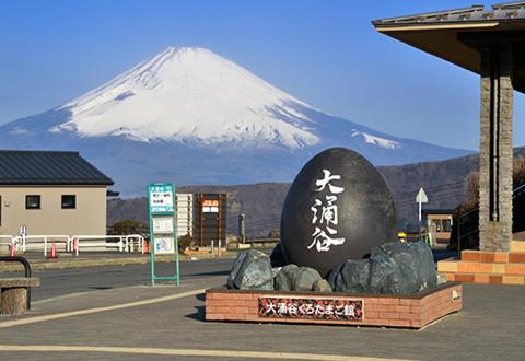箱根琥珀温泉ホテル in Hakone 箱根琥珀温泉ホテル in Hakone