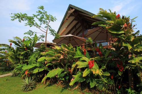 Vue extérieure, Tenorio Lodge in Bijagua De Upala Vue extérieure, Tenorio Lodge in Bijagua De Upala