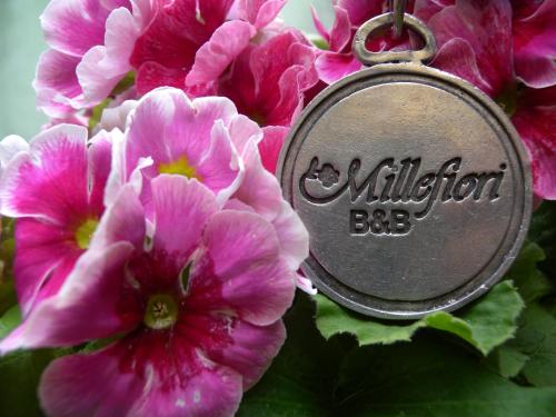B&B Millefiori
B&B Millefiori