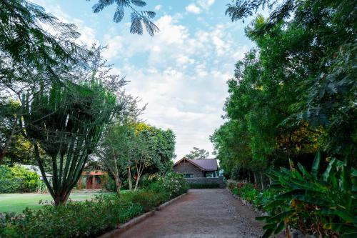 Jardín, Buffalo Villa in Boma Ng'ombe Jardín, Buffalo Villa in Boma Ng'ombe