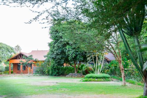 Jardín, Buffalo Villa in Boma Ng'ombe Jardín, Buffalo Villa in Boma Ng'ombe