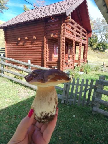 - Ivanovici Rudo brdo in Andrijevica - Ivanovici Rudo brdo in Andrijevica