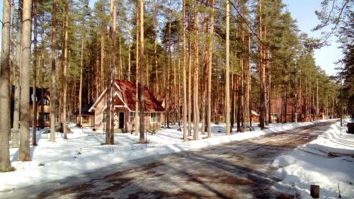 Viking House (Yagodnoye) in ยากอดโนเอีย Viking House (Yagodnoye) in ยากอดโนเอีย