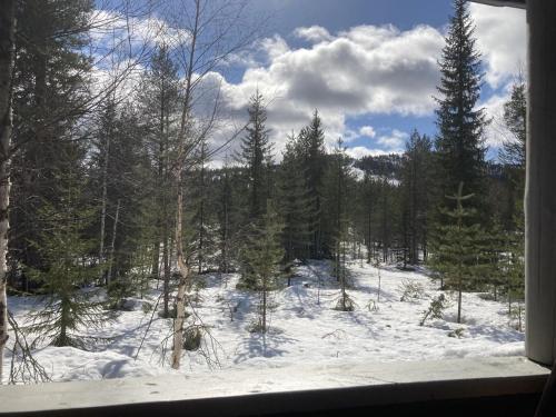 Hulhavanpuisto B2, Iso-Syöte, Pudasjärvi (Hulhavanpuisto B2, Iso-Syote, Pudasjarvi) in سيوتي Hulhavanpuisto B2, Iso-Syöte, Pudasjärvi (Hulhavanpuisto B2, Iso-Syote, Pudasjarvi) in سيوتي