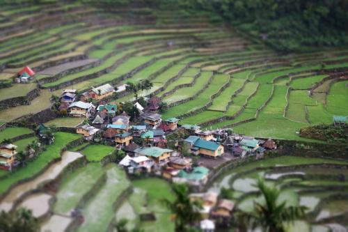 Batad Pension and Restaurant in Batad Batad Pension and Restaurant in Batad