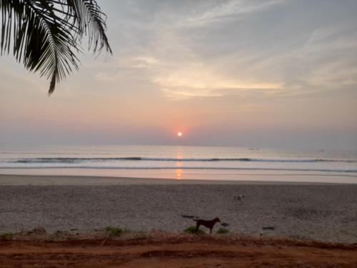 Sun Klssed Gokarna Beach Stay in Gokarna Kudle Beach Sun Klssed Gokarna Beach Stay in Gokarna Kudle Beach