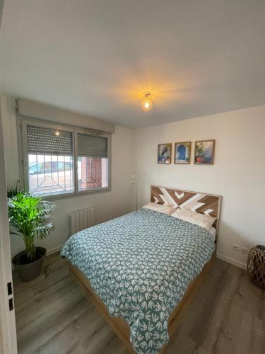 Charmant T2 centre ville