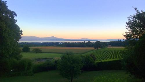 Vistas, Le Château (Le Chateau) in Morges Vistas, Le Château (Le Chateau) in Morges