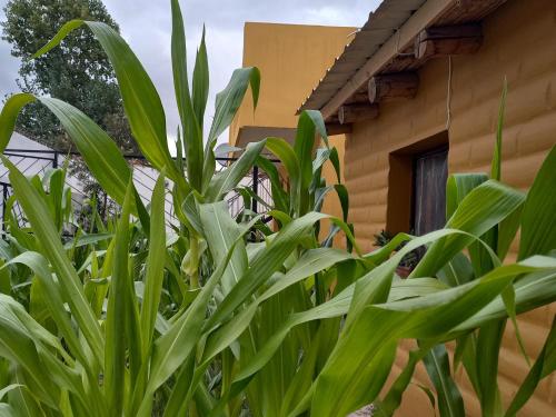 Luminares in Humahuaca Luminares in Humahuaca