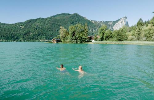 das mondsee in MondSee das mondsee in MondSee