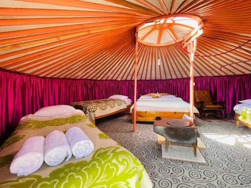 Family Guest House in Kharkhorin Family Guest House in Kharkhorin