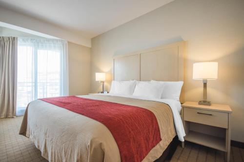 康福特茵套房酒店 (Comfort Inn & Suites) in 坎貝爾里弗(BC) 康福特茵套房酒店 (Comfort Inn & Suites) in 坎貝爾里弗(BC)