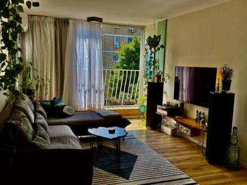 HIGH-END apartment , with a private parking and an elavator in North Tel Aviv HIGH-END apartment , with a private parking and an elavator in North Tel Aviv