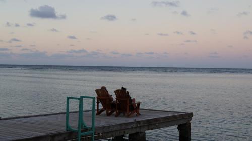 景觀, 大洋棕櫚林旅館 (Ocean Palms) in 奧喬里約 景觀, 大洋棕櫚林旅館 (Ocean Palms) in 奧喬里約