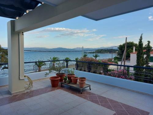 House on the beach in יובואה House on the beach in יובואה