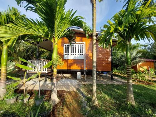 Lung Nui Dates Palm Farm in Prachantakham Lung Nui Dates Palm Farm in Prachantakham