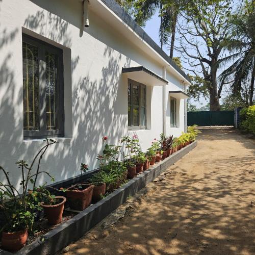 Mysticgreens Home Stay in Chikkavaddarakere Mysticgreens Home Stay in Chikkavaddarakere