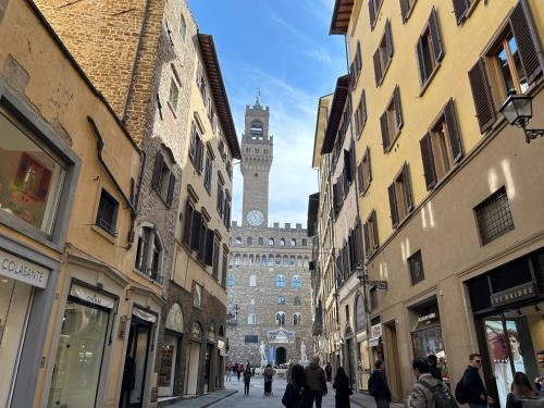 Chiara Apartment In Porta San Frediano Florence