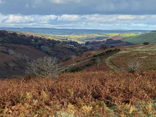 Monks Cleeve Bungalow in Exmoor National Park Monks Cleeve Bungalow in Exmoor National Park