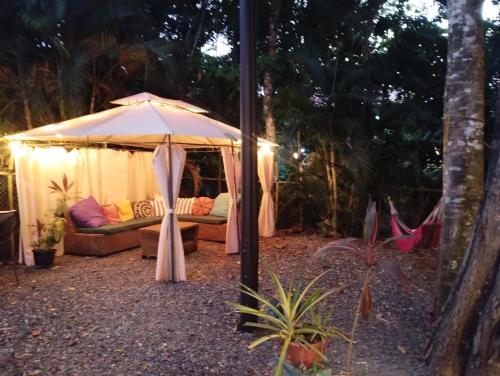 Jardí, Casajungla Hostel in Jaco Jardí, Casajungla Hostel in Jaco