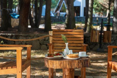 View, Green Pak Naltar in Gilgit View, Green Pak Naltar in Gilgit