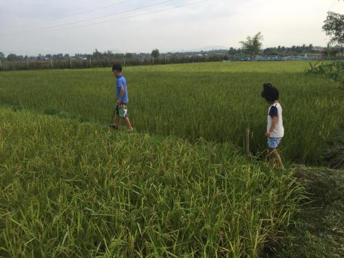 Vilakon Thoungchaleun in タラット Vilakon Thoungchaleun in タラット