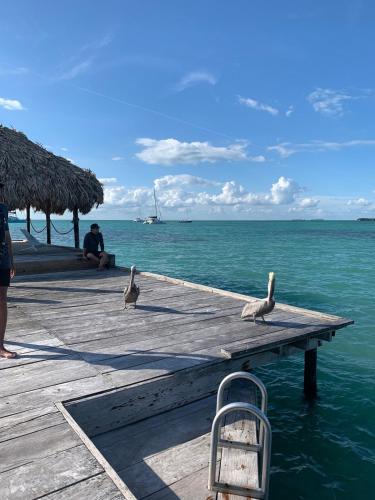 Spiaggia, Modern Family Villa With Pool & Breakfast Option, Near Secret Beach in Ambergris Caye Spiaggia, Modern Family Villa With Pool & Breakfast Option, Near Secret Beach in Ambergris Caye