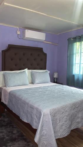 Crimson Clove vacation Home JA in 스패니쉬 타운 Crimson Clove vacation Home JA in 스패니쉬 타운