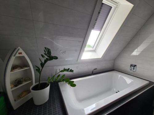 浴室, Ruhiges Stadtdomizil - Wohnkomfort in der Vier-Tore-Stadt in 新勃蘭登堡 浴室, Ruhiges Stadtdomizil - Wohnkomfort in der Vier-Tore-Stadt in 新勃蘭登堡