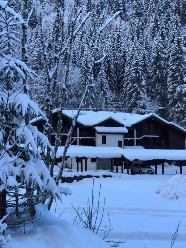 Appartement Morzine Avoriaz in Avoriaz Appartement Morzine Avoriaz in Avoriaz