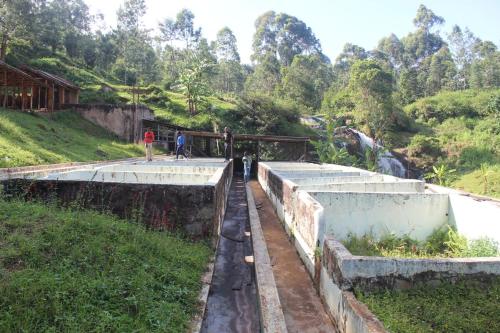 The Forest Villa, Kirimiri Hill, Runyenjes, Embu in เอมบู The Forest Villa, Kirimiri Hill, Runyenjes, Embu in เอมบู