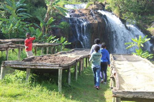 The Forest Villa, Kirimiri Hill, Runyenjes, Embu in เอมบู The Forest Villa, Kirimiri Hill, Runyenjes, Embu in เอมบู