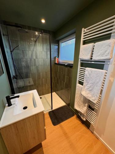 Łazienka, Chambre privée avec salle de bain - accès entièrement privé (Chambre privee avec salle de bain - acces entierement prive) in Malmedy Łazienka, Chambre privée avec salle de bain - accès entièrement privé (Chambre privee avec salle de bain - acces entierement prive) in Malmedy