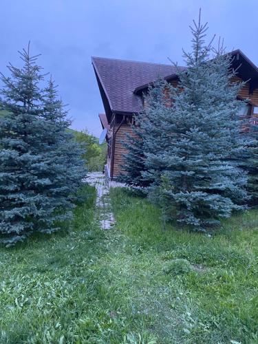 Orlovka resort in Tokmok Orlovka resort in Tokmok