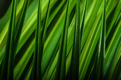 This photo about Isla Verde Hotel shared on HyHotel.com