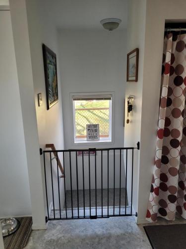 Lakefront Cottage on Spruce Lake near Kenora in كينورا(اون) Lakefront Cottage on Spruce Lake near Kenora in كينورا(اون)