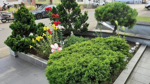 Ferienwohnung Andreea in Saarlouis Ferienwohnung Andreea in Saarlouis