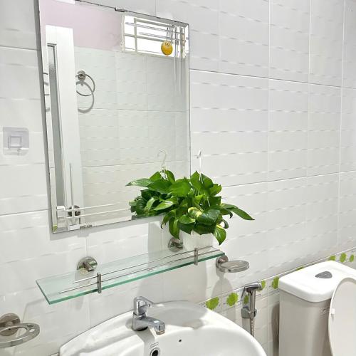 One Room Homestay in Phuong 6 One Room Homestay in Phuong 6