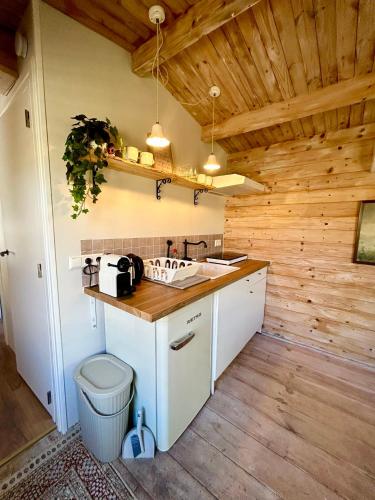 New Charming Scandinavian eco house with garden and jacuzzi in Boerhaavewijk New Charming Scandinavian eco house with garden and jacuzzi in Boerhaavewijk