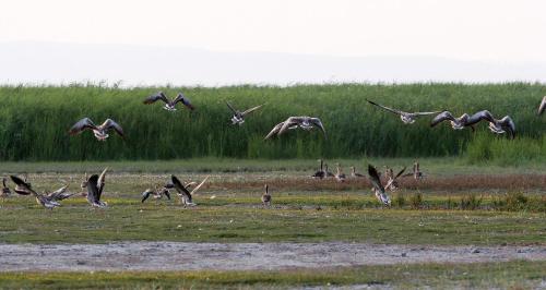 This photo about Georgshof shared on HyHotel.com